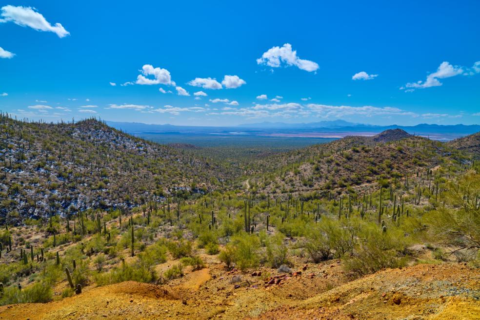 Catalina Foothills Arizona