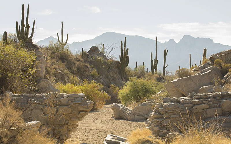 Rincon Valley Arizona